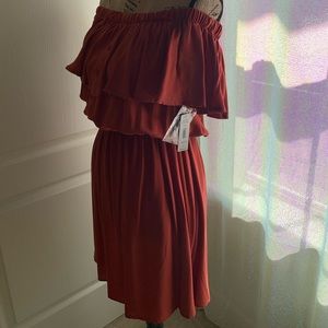 Rust colored short dress with flounce and buttons.